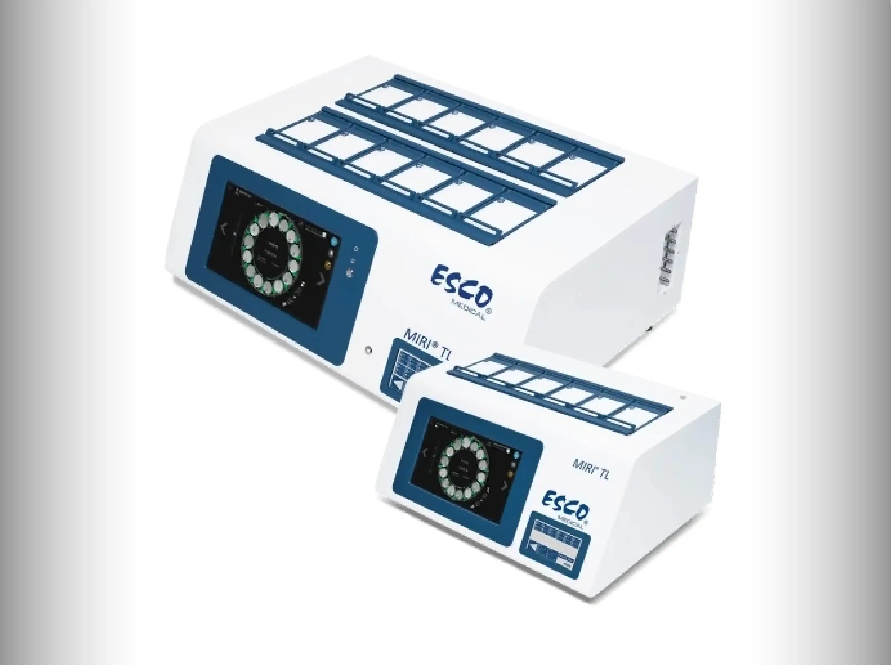 In Vitro Fertilization (IVF) | Jordan